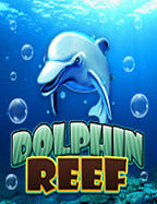 เล่นสนุกไม่เบื่อ jolly roger slotmafia345 เข้า สู่ ระบบ