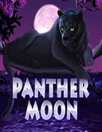 การดูบาคาร่า: เทคนิคและเคล็ดลับเพื่อชัยชนะ